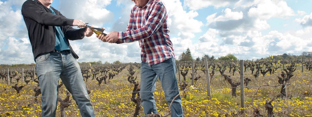 Foto bij Domaine Bonnet Huteau