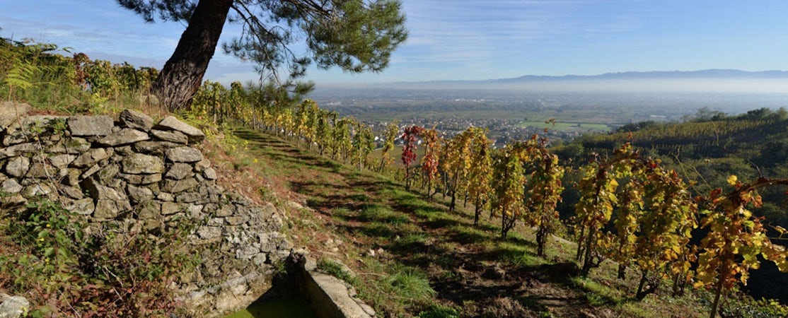 Foto bij Domaine du Tunnel