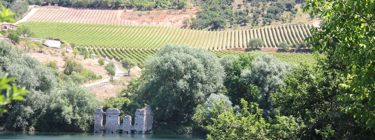 Foto bij Pasetti Vini
