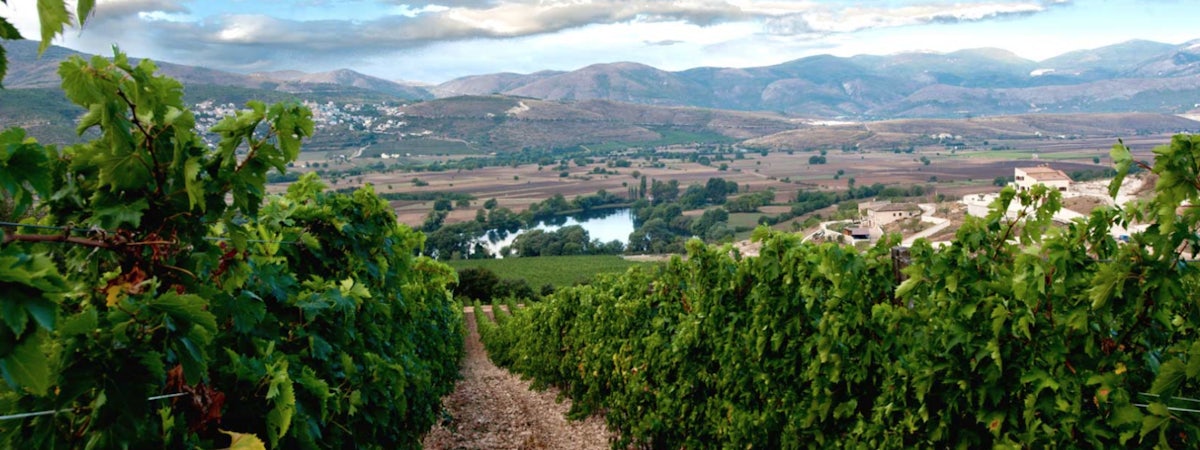 Foto bij Pasetti Vini