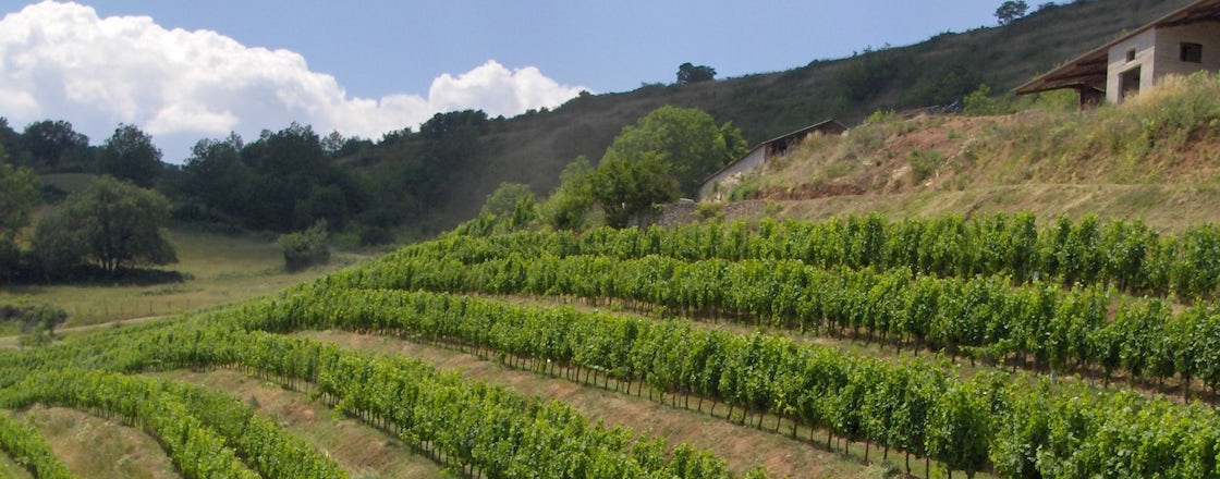 Foto bij Domaine du Cros