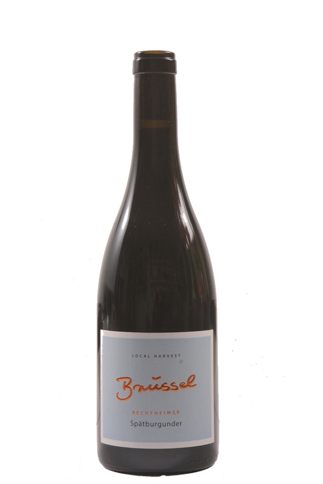 Weingut Brüssel Bechtheimer Spätburgunder 2016