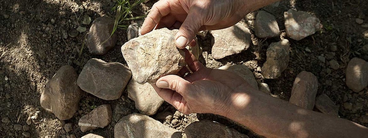 Foto bij Peter Jakob Kühn