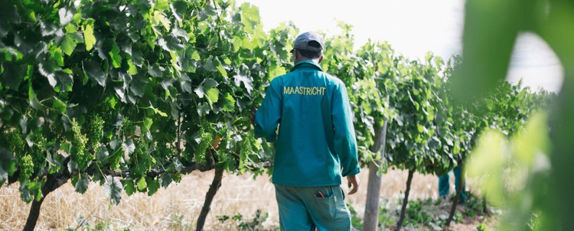 Foto bij Maastricht Wines