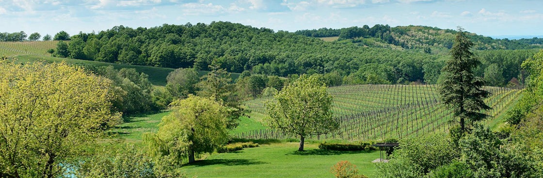 Foto bij Tenuta La Raia