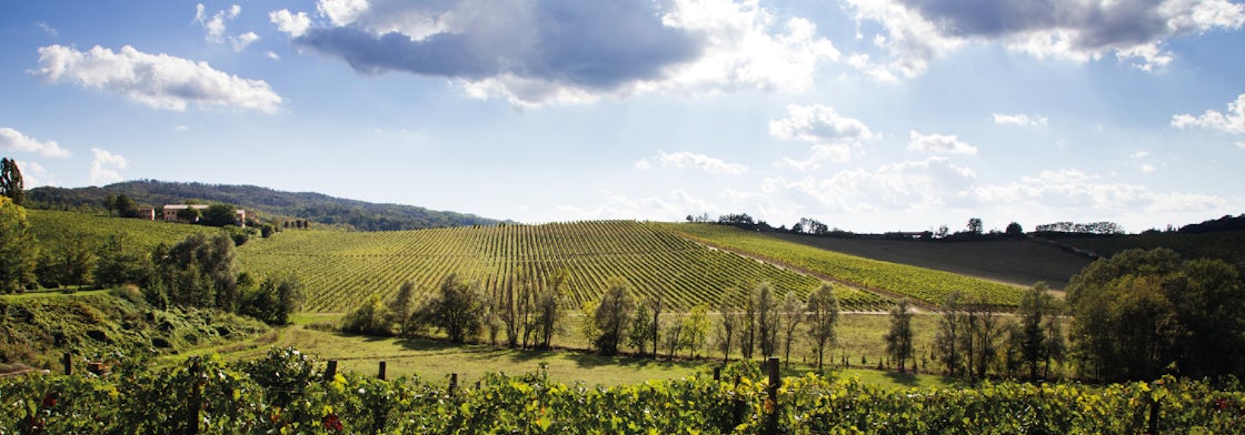 Foto bij Tenuta La Raia