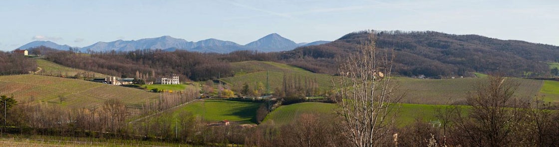 Foto bij Tenuta La Raia