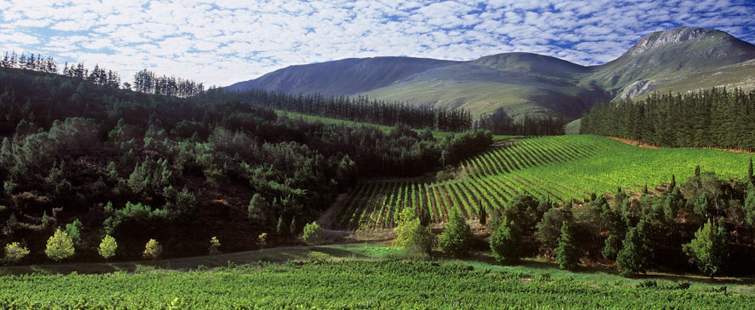 Foto bij Paul Cluver