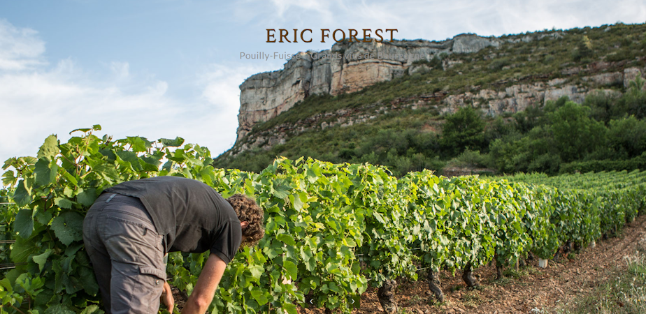 Foto bij Domaine Eric Forest