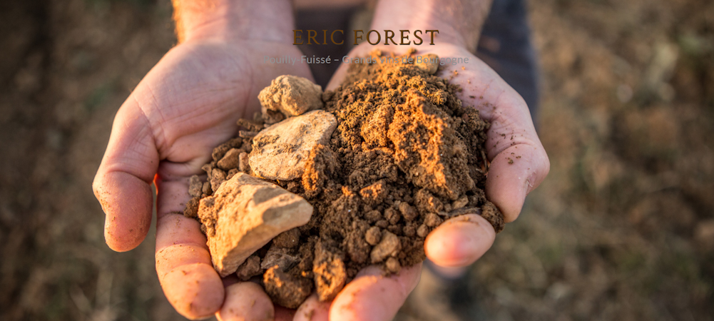 Foto bij Domaine Eric Forest