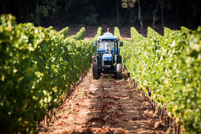 Foto bij Domaine La Navicelle