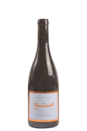 Weingut Brüssel Stein Spätburgunder 2019
