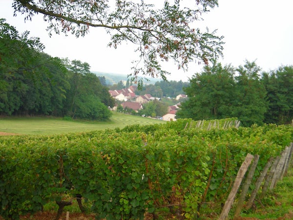 Foto bij Domaine des Ronces