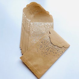 Woodlook zakjes met zilveren stipjes (10 st.) 17 x 10 cm.