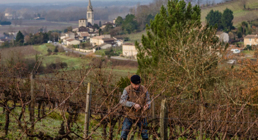 Foto bij Domaine Jean-Yves Millaire
