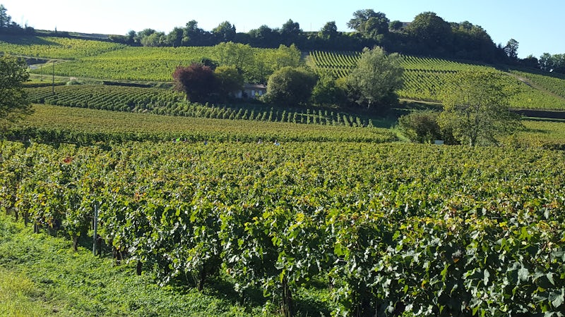 Foto bij Domaine Jean-Yves Millaire