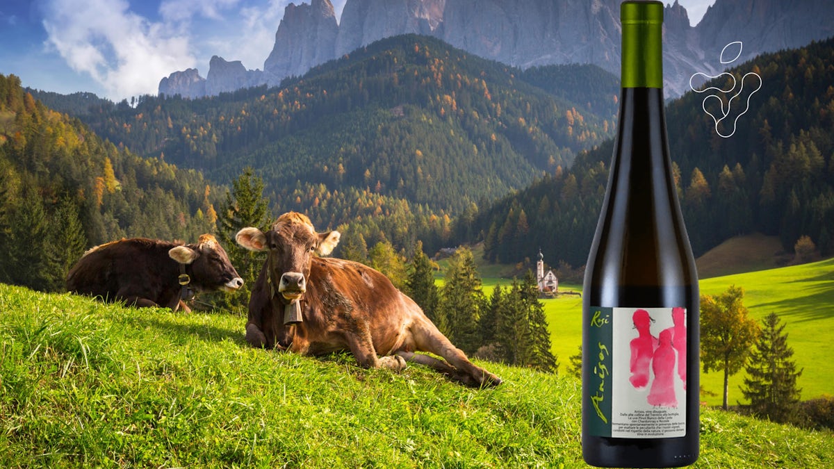 Afbeelding bij Proefpakket wijnen uit Noord-Italië: 15% korting!