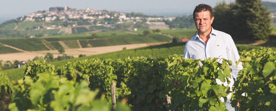 Foto bij Paul Cherrier - Sancerre