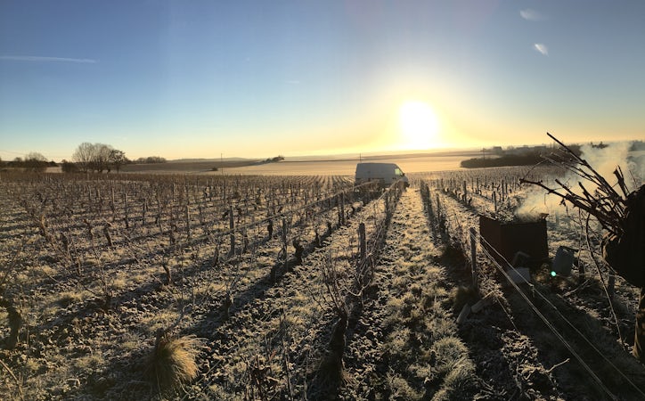 Foto bij Domaine Chollet - Pouilly Fumé