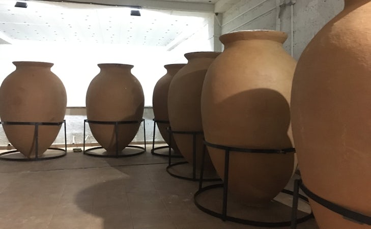 Foto bij Papari Valley - Georgische wijn