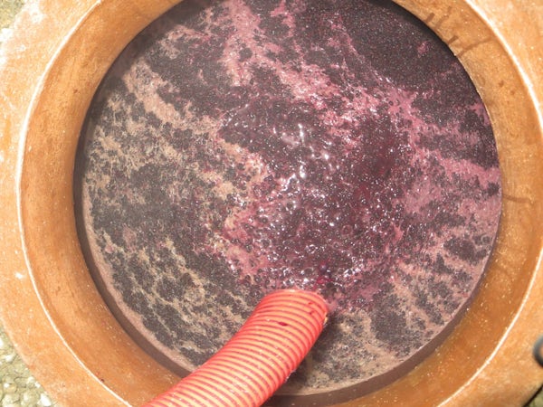 Foto bij Papari Valley - Georgische wijn