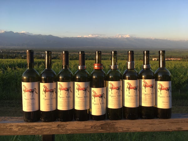 Foto bij Papari Valley - Georgische wijn