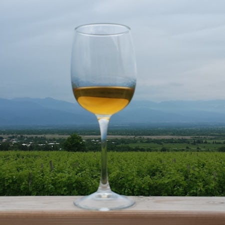 Foto bij Papari Valley - Georgische wijn