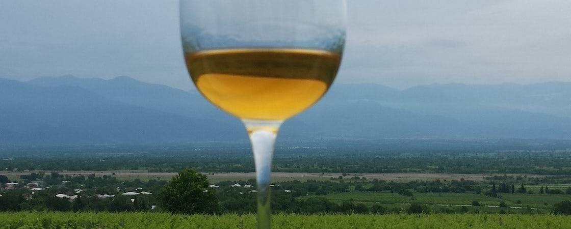 Foto bij Papari Valley - Georgische wijn