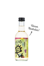 Weingut Hagn Grüner Veltliner Filius 2020 (Piccolo)