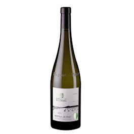 Picpoul de Pinet Patience Amfora Domaine de Belle Mare