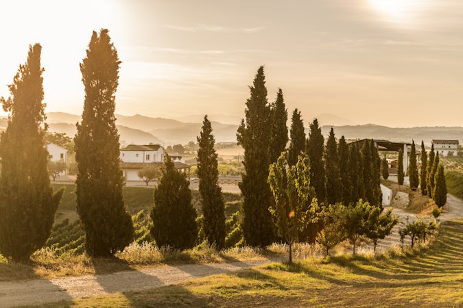 Foto bij Contesa di Rocco Pasetti