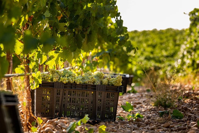 Foto bij Bodegas El Lagar de Moha