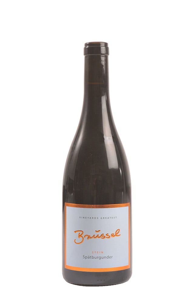 Weingut Brüssel Stein Spätburgunder 2021