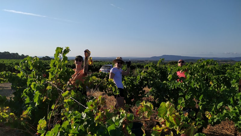 Foto bij Domaine de Cazaban