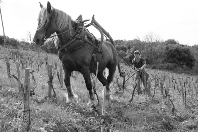 Foto bij Domaine de Cazaban