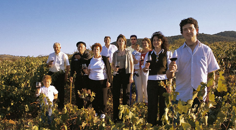 Foto bij Viñedos y Bodegas Pablo