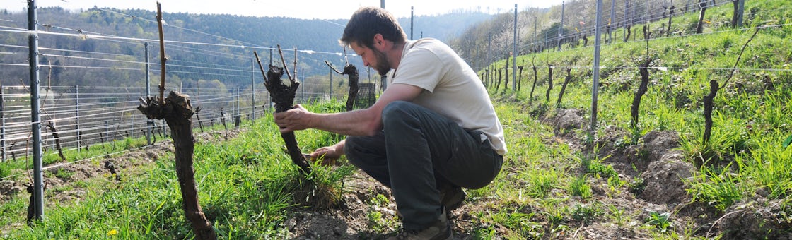 Foto bij Marc Kreydenweiss