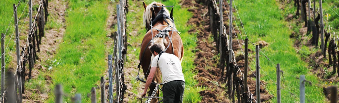 Foto bij Marc Kreydenweiss