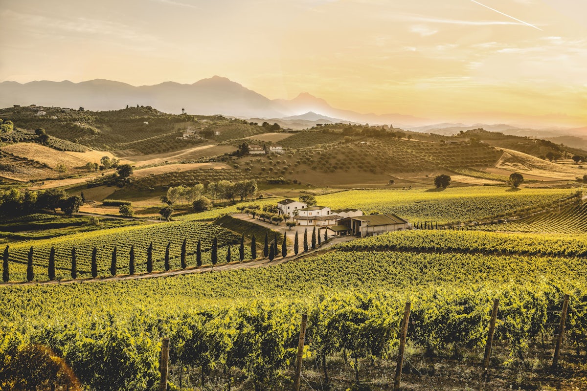 Afbeelding bij Proefdoosje Montepulciano d'Abruzzo