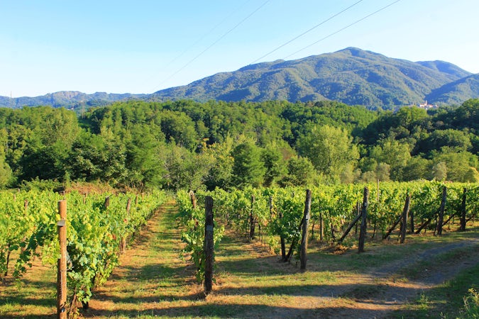 Foto bij Podere Fedespina