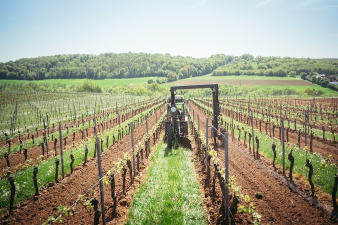 Foto bij Weingut Genheimer Kiltz
