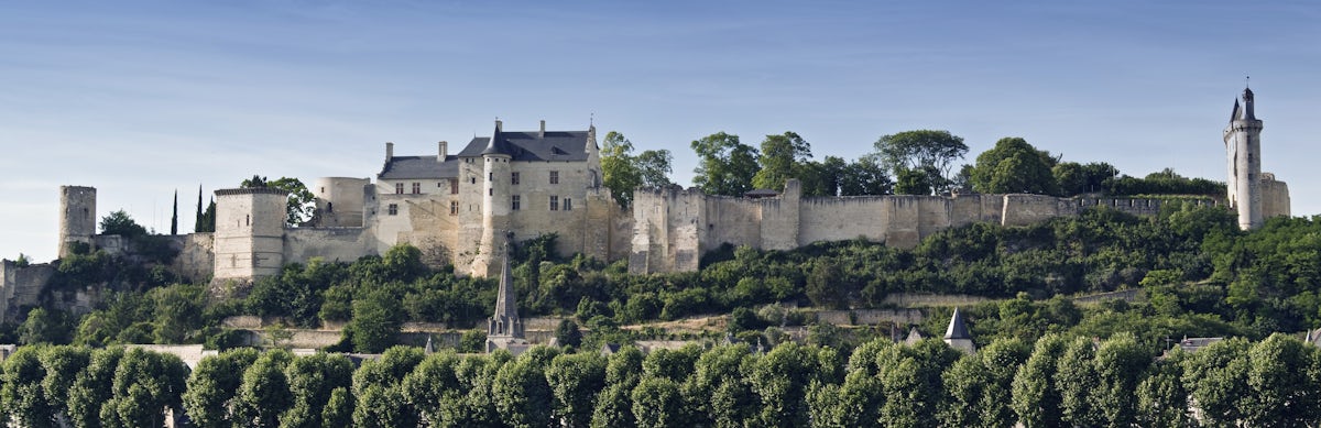 Afbeelding bij Proefdoosje biologische Chinon Wilfrid Rousse