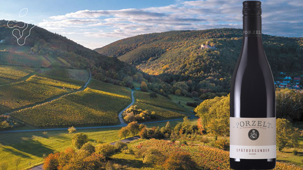 Afbeelding bij Proefdoosje Spätburgunder: Duitse Pinot Noir