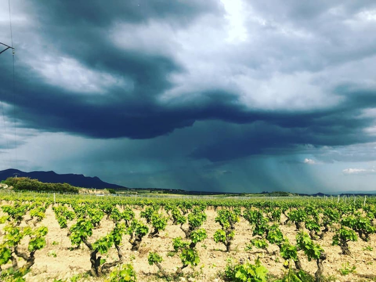 Afbeelding bij Proefdoosje Rioja Alavesa Tempranillo