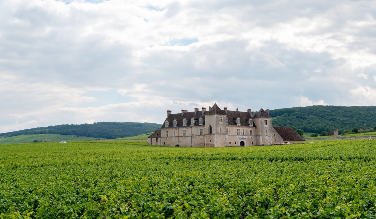 Afbeelding bij Koningsdeal - Marsannay Clos du Roy - 3 flessen