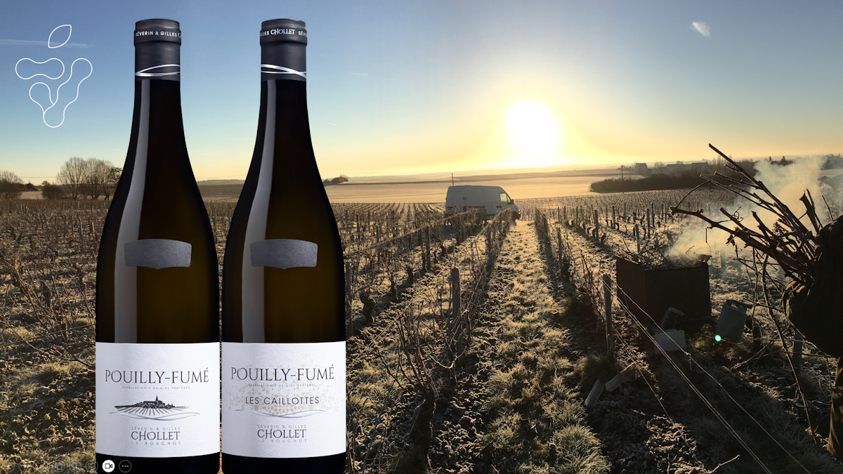 Afbeelding bij Proefdoosje Pouilly-Fumé - Domaine Chollet