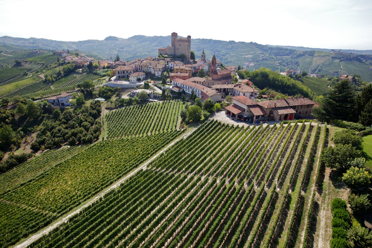 Afbeelding bij Kelderactie: 15% korting op Barbera uit Piëmonte