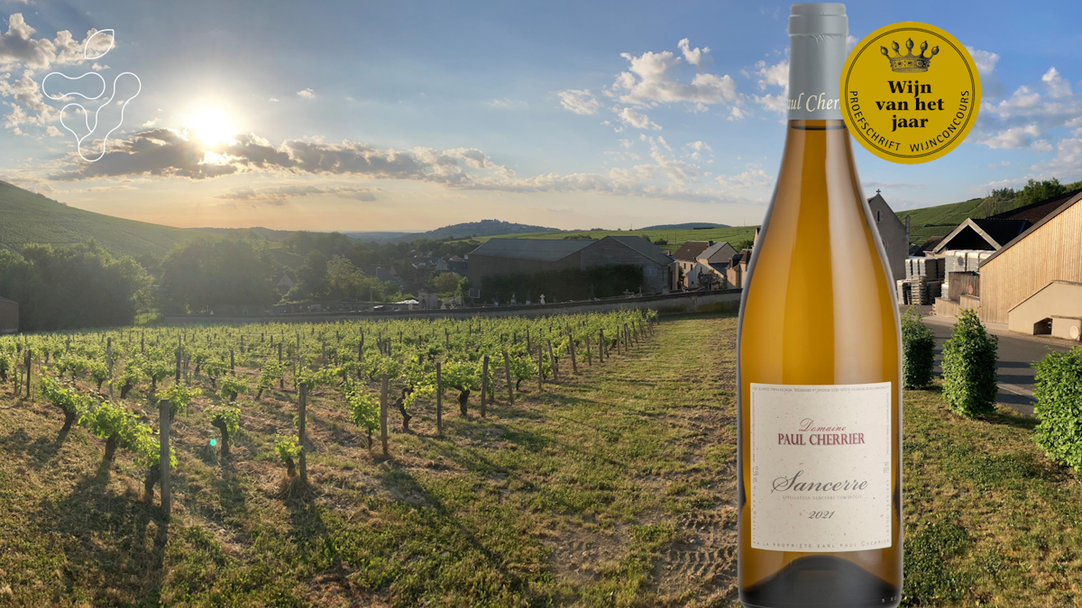 Afbeelding bij Proefdoosje exclusieve Sancerre van Paul Cherrier