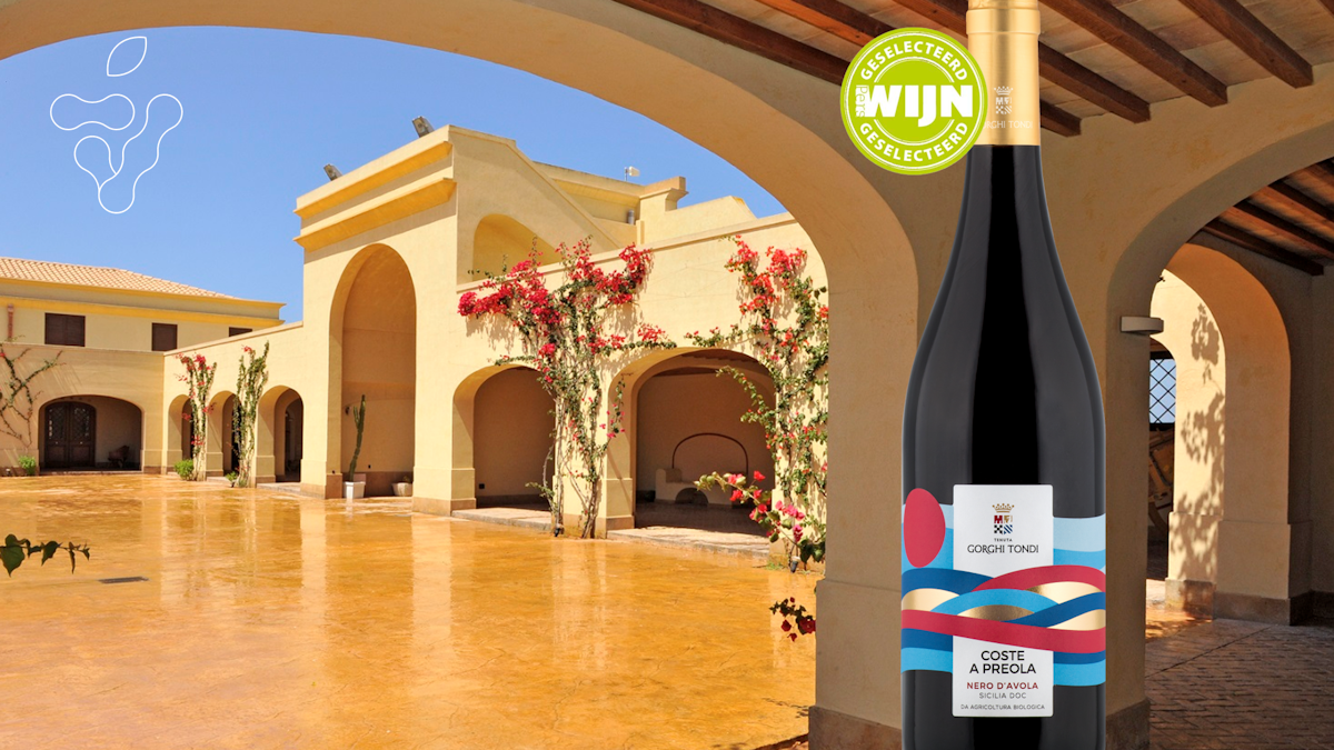 Afbeelding bij Proefdoosje Nero d'Avola Gorghi Tondi