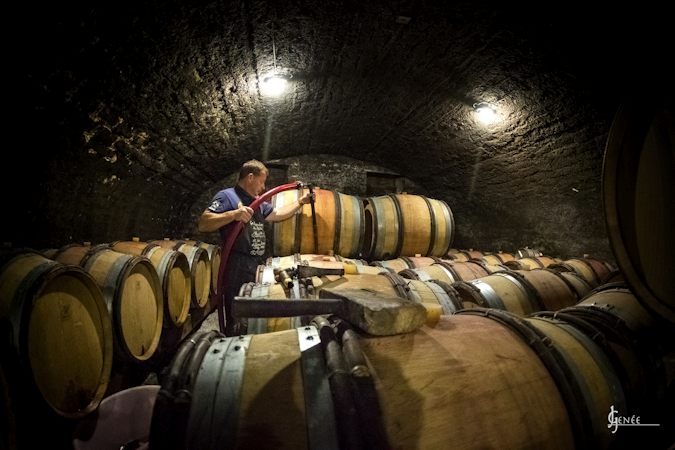 Foto bij Domaine Philippe Garrey